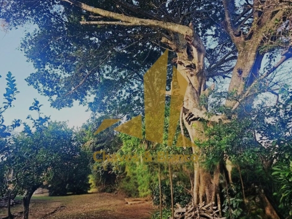 Venta de Propiedad en las montañanas de San Rafael de Heredia!