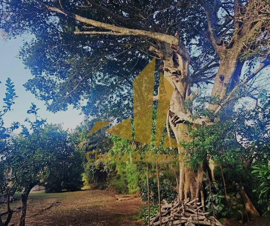 Venta de Propiedad en las montañanas de San Rafael de Heredia!