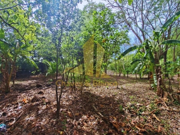 Venta de Propiedad en Guanacaste, Abangares!