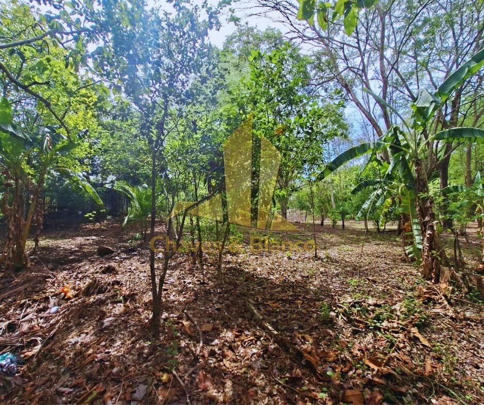 Venta de Propiedad en Guanacaste, Abangares!